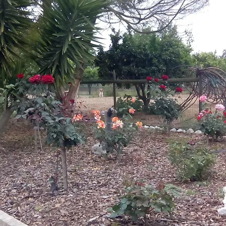 Quarto em Acomodações Particulares Quinta Da Yuca *